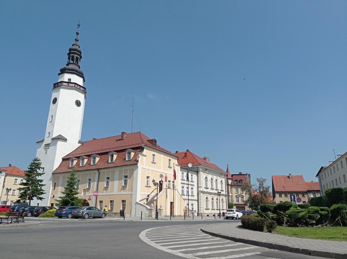 Apartamento Babcares Apa Góry Izerskie Mirsk Exterior foto