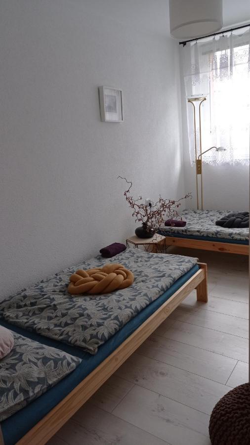 Apartamento Babcares Apa Góry Izerskie Mirsk Exterior foto