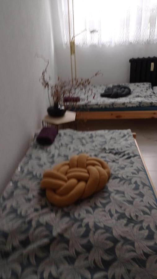 Apartamento Babcares Apa Góry Izerskie Mirsk Exterior foto